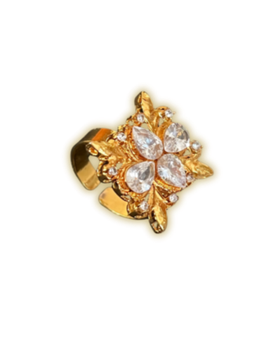 Arushi Ring